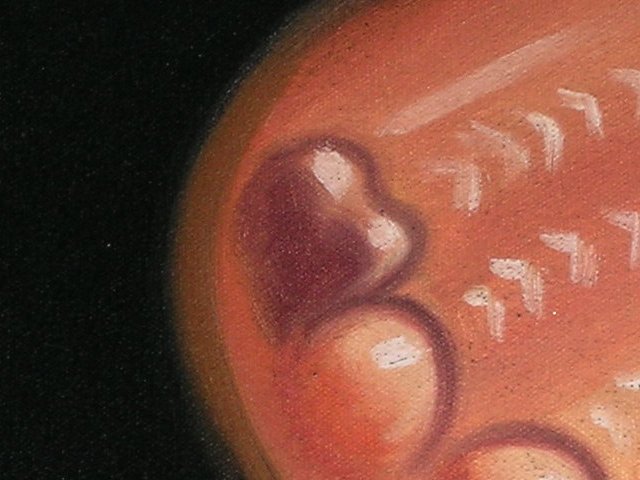 Hidden Mickey of the Week